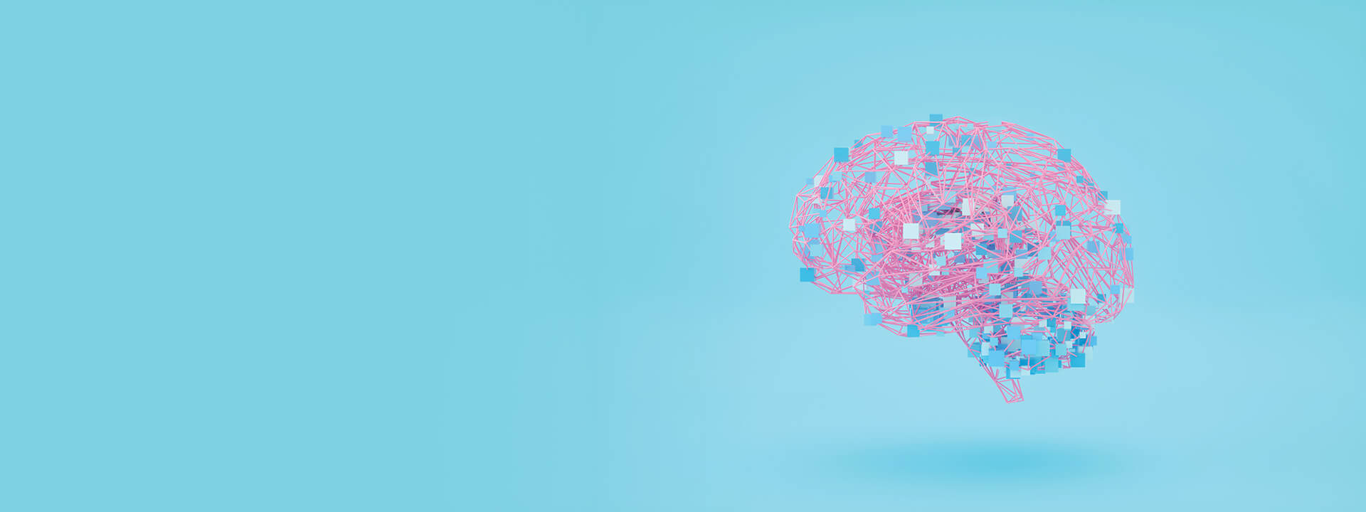 Illustration of a brain structure